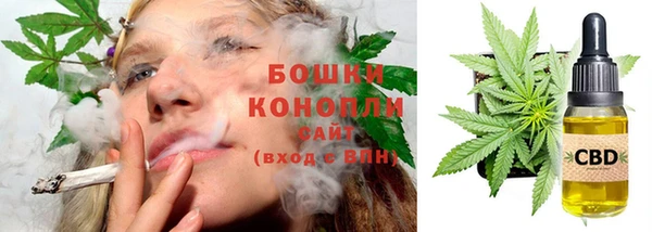 СК Бронницы