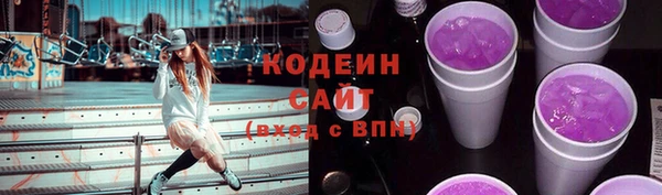 СК Бронницы