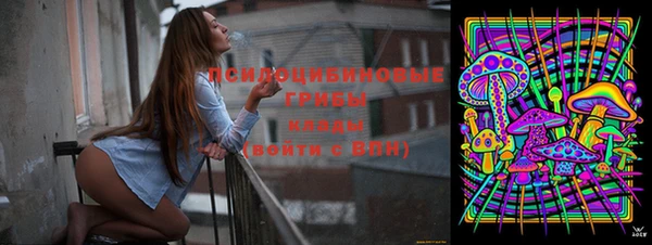 СК Бронницы