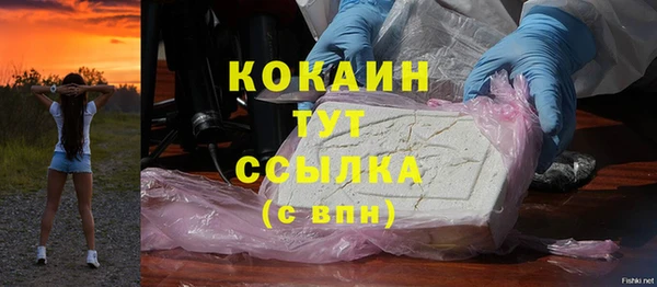 СК Бронницы