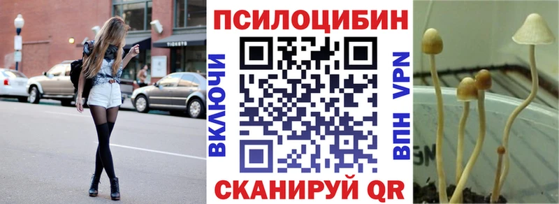 Купить закладки  Майский  Псилоцибиновые грибы Psilocybe 