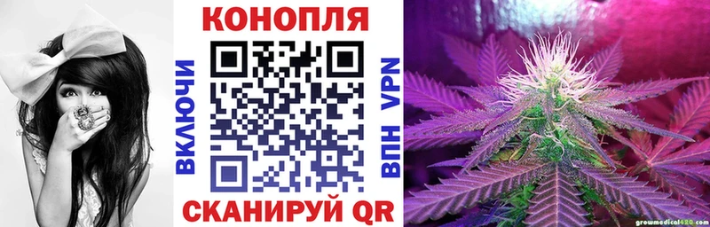 Купить  Майский  Конопля семена 